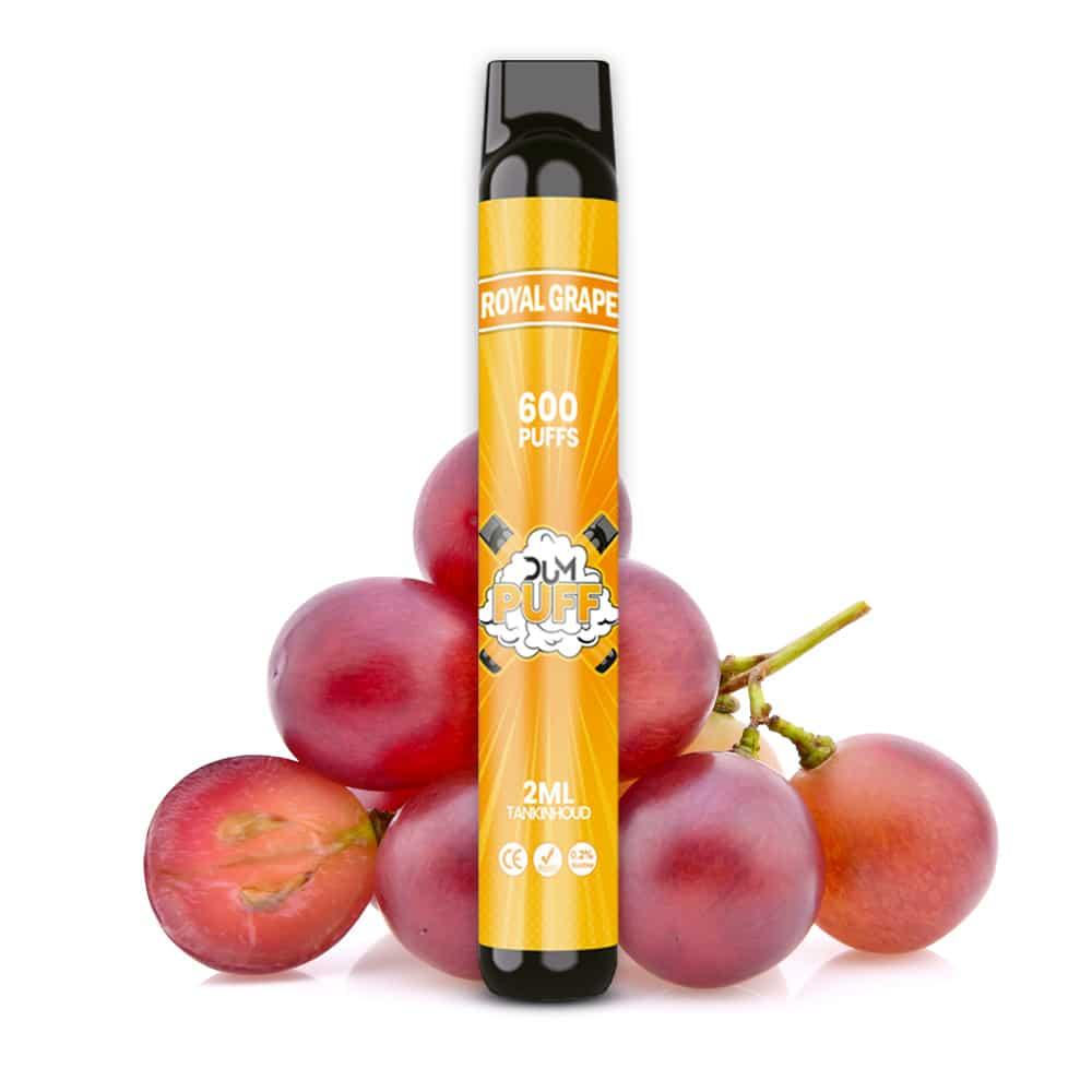 Chicha électronique jetable DUM Puff – 600 Puffs - Chicha Time acheter chicha au maroc